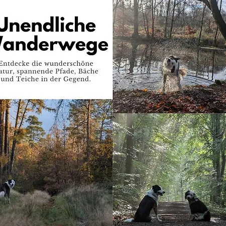 Apartamento Ruhige Mit Ausblick