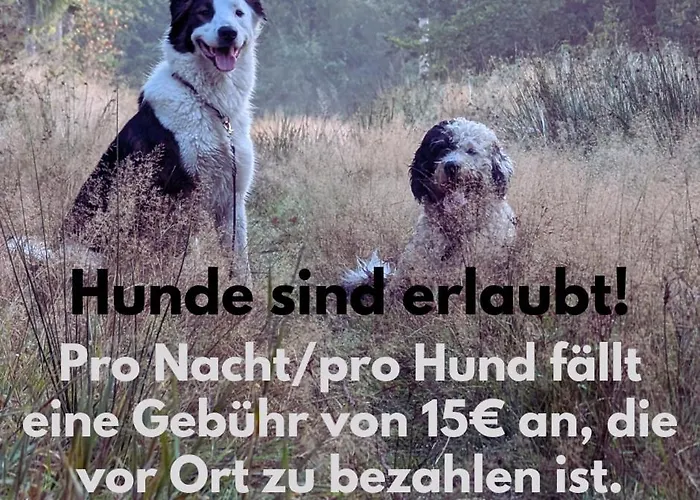 公寓 Ruhige Mit Ausblick