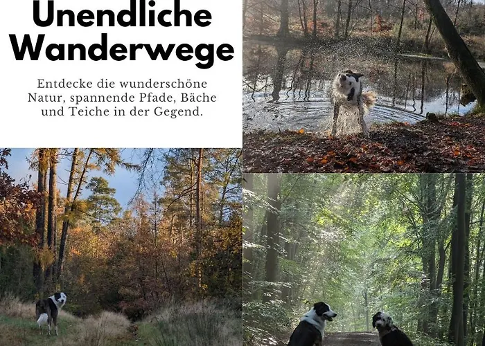 公寓 Ruhige Mit Ausblick